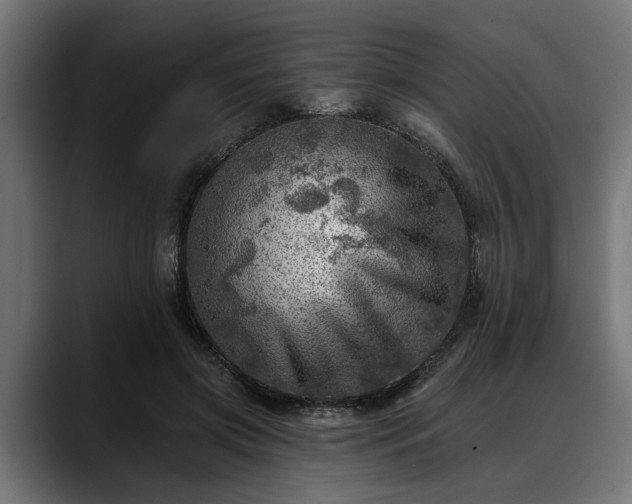 X0000088450549200705291514