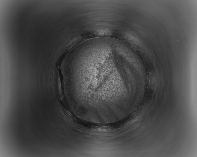 X0000088450550200705291514