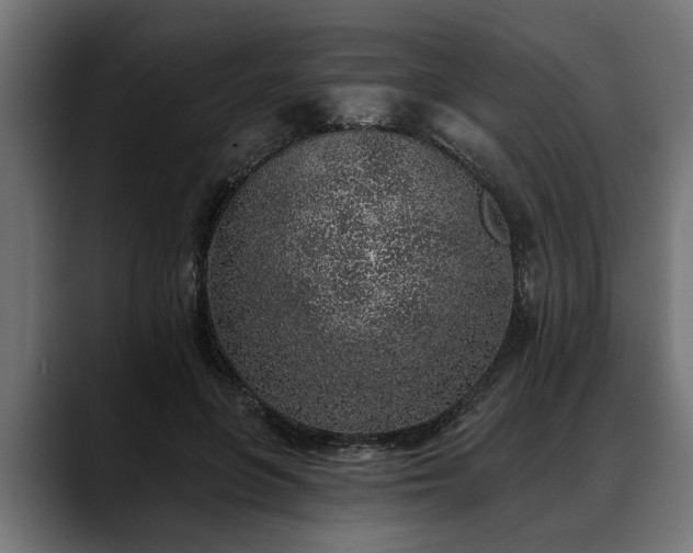 X0000088450551200705291514