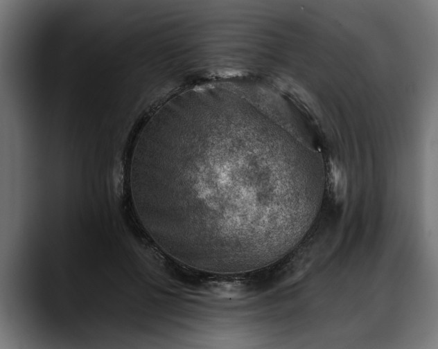 X0000088450552200705291514