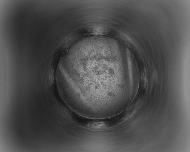 X0000088450554200705291514