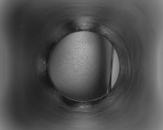 X0000088450555200705291514