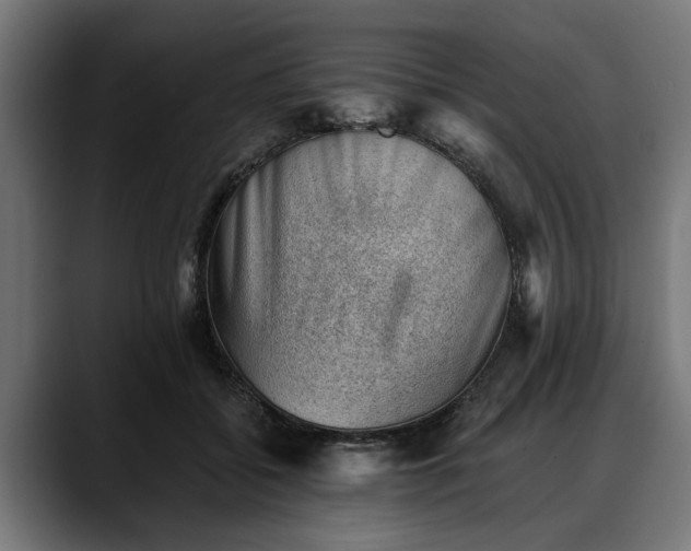 X0000088450556200705291514