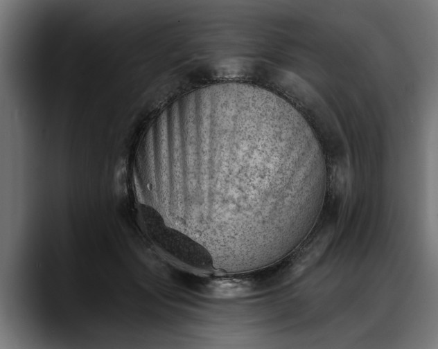 X0000088450557200705291514