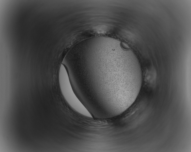 X0000088450559200705291514
