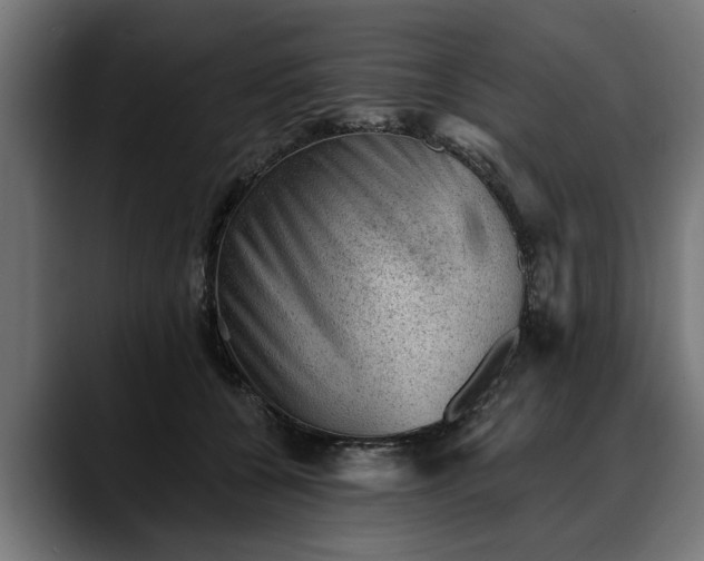 X0000088450560200705291514