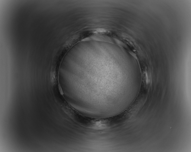 X0000088450564200705291514