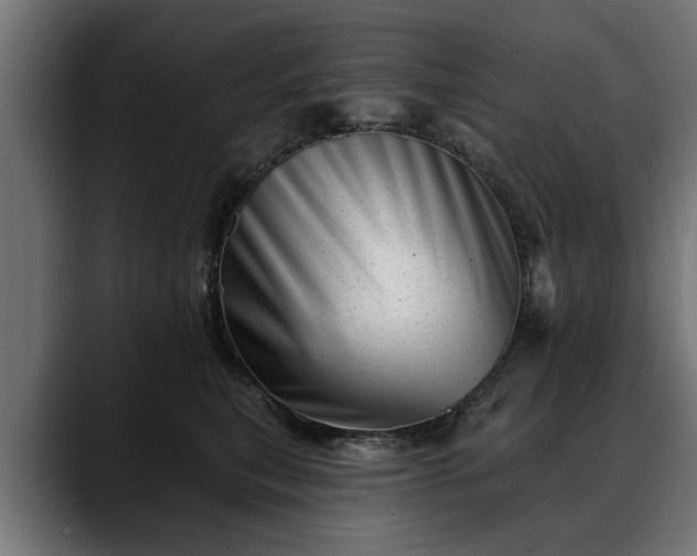 X0000088450567200705291514