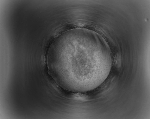 X0000088450568200705291514