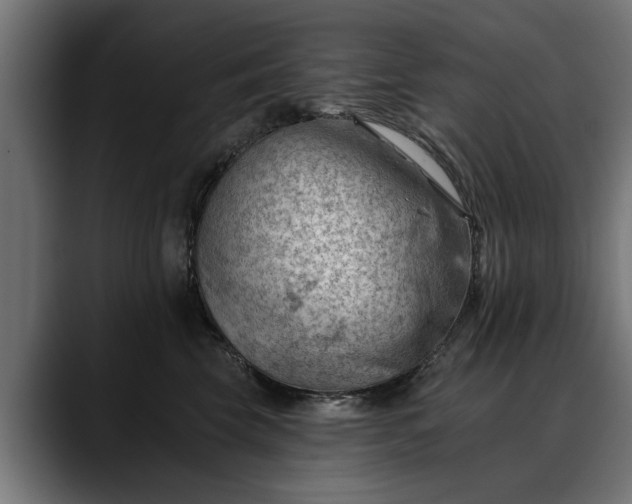X0000088450569200705291514