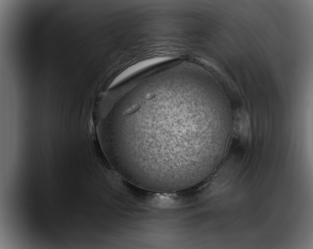 X0000088450573200705291515