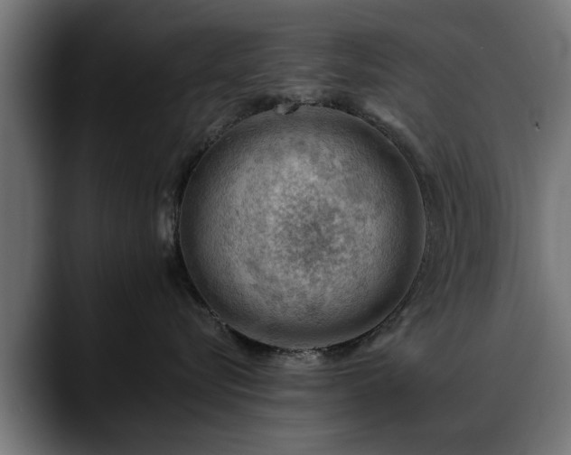 X0000088450576200705291515