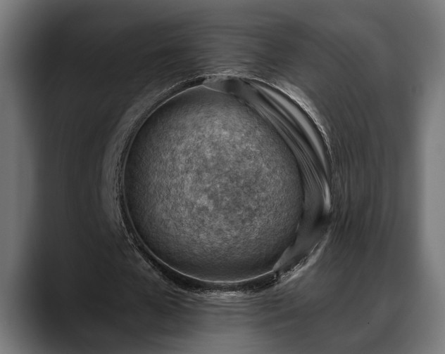 X0000088450577200705291514