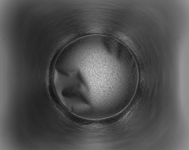 X0000088450578200705291514