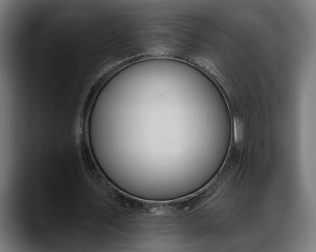 X0000088450579200705291514