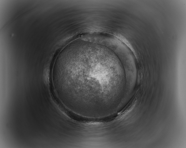 X0000088450581200705291514