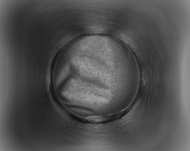 X0000088450582200705291514