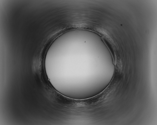 X0000088450583200705291514