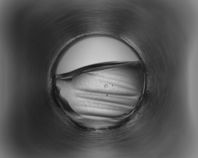 X0000088450584200705291514
