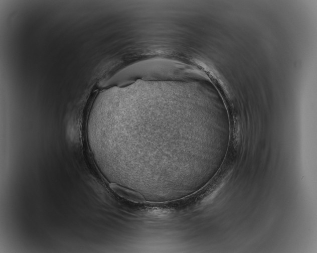 X0000088450585200705291514