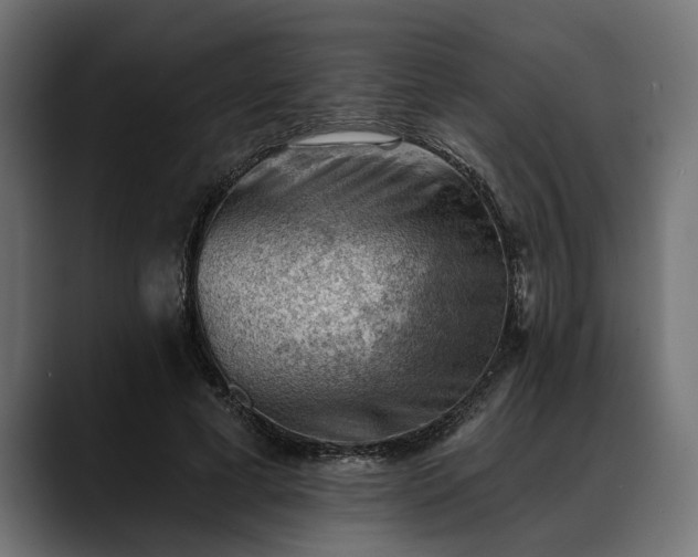 X0000088450593200705291514