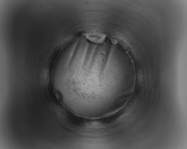 X0000088450594200705291514