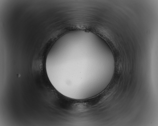 X0000088450595200705291514