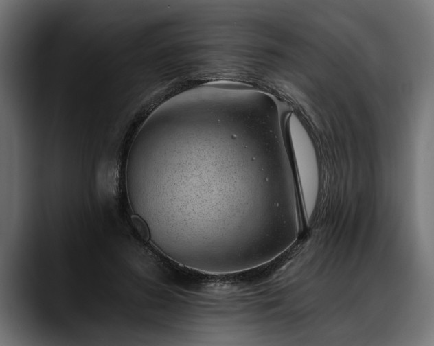 X0000088450596200705291514