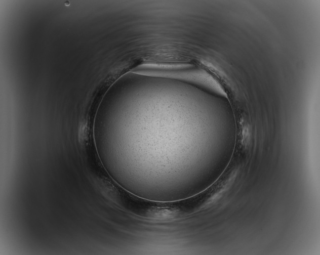 X0000088450597200705291514