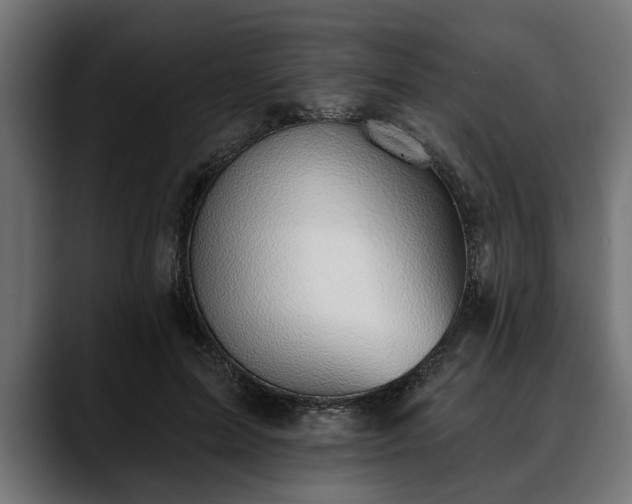 X0000088450599200705291514