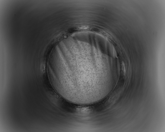 X0000088450602200705291514