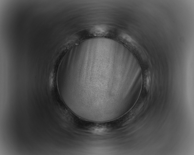 X0000088450604200705291514