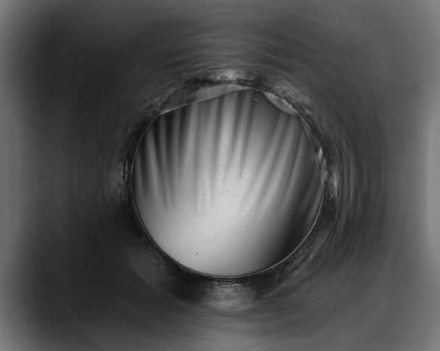 X0000088450605200705291514