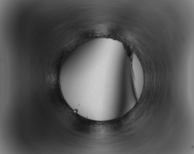 X0000088450608200705291514