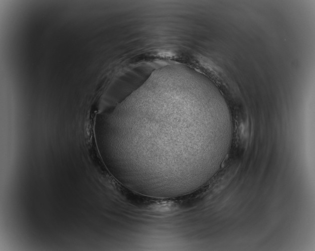 X0000088450609200705291514