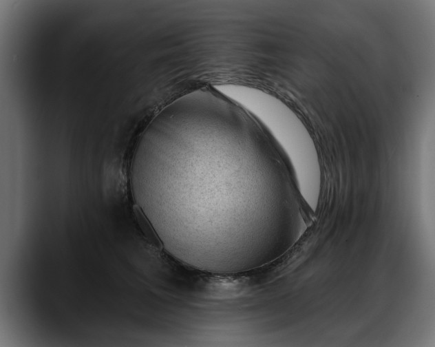 X0000088450613200705291514