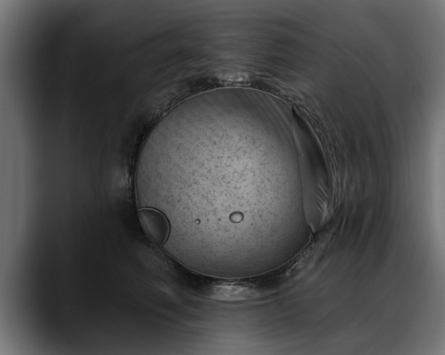 X0000088450614200705291514