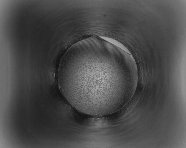 X0000088450615200705291514