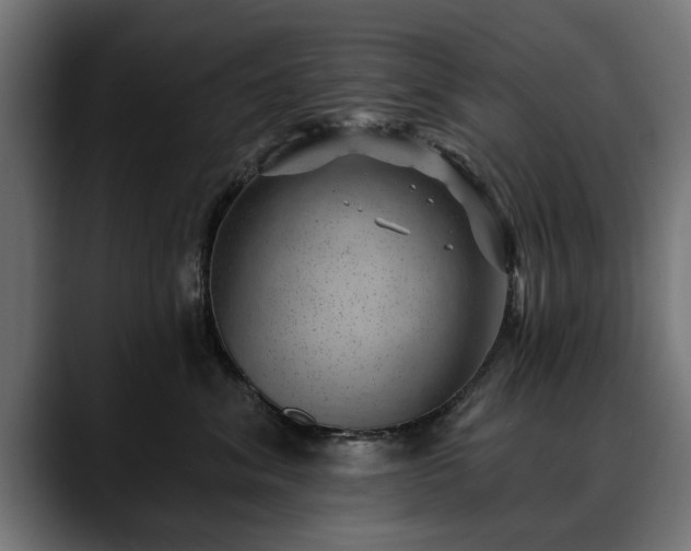 X0000088450620200705291514