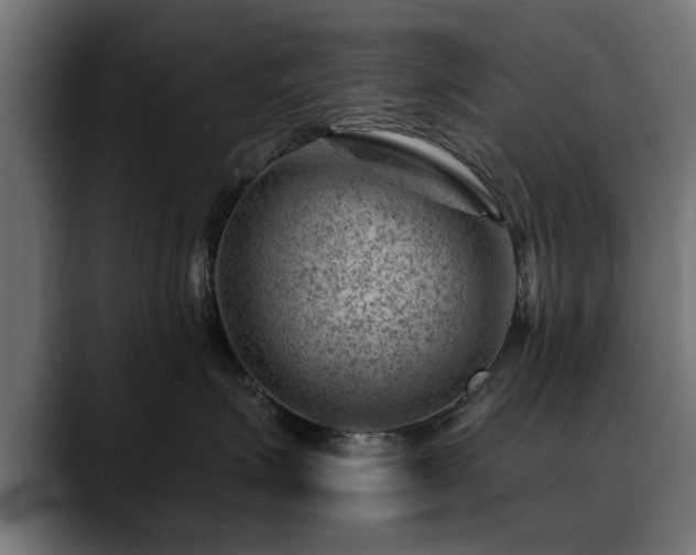 X0000088450623200705291513