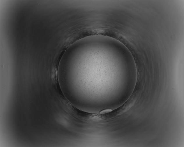 X0000088450624200705291513