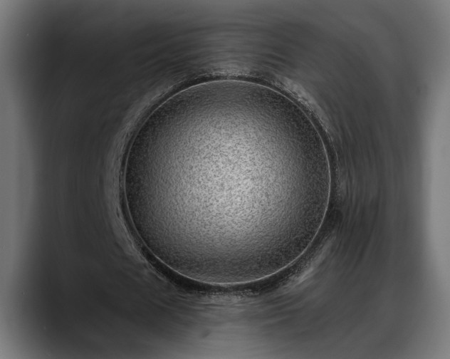 X0000088450625200705291513
