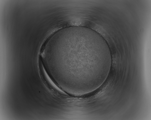 X0000088450626200705291513