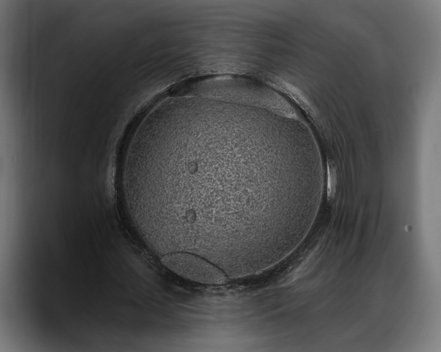 X0000088450627200705291513
