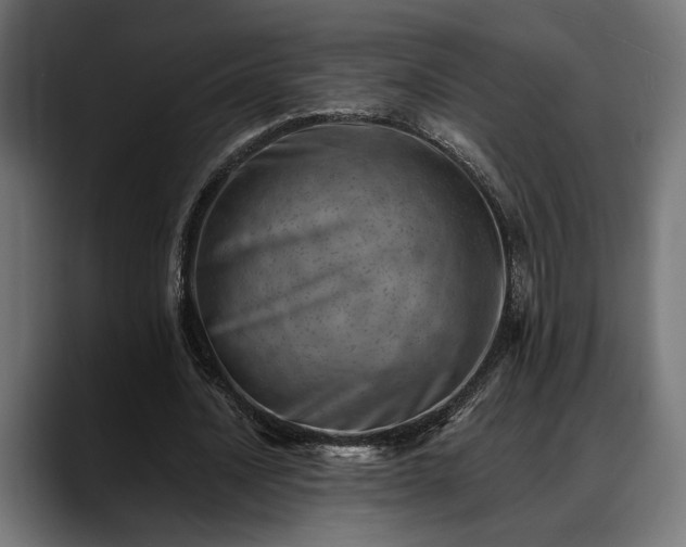 X0000088450628200705291513