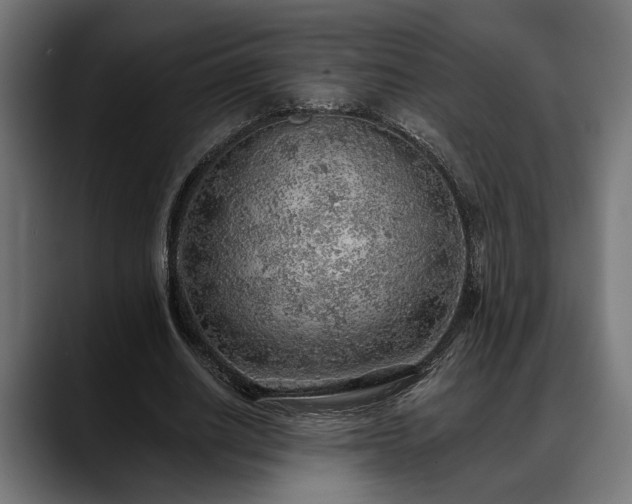 X0000088450630200705291513