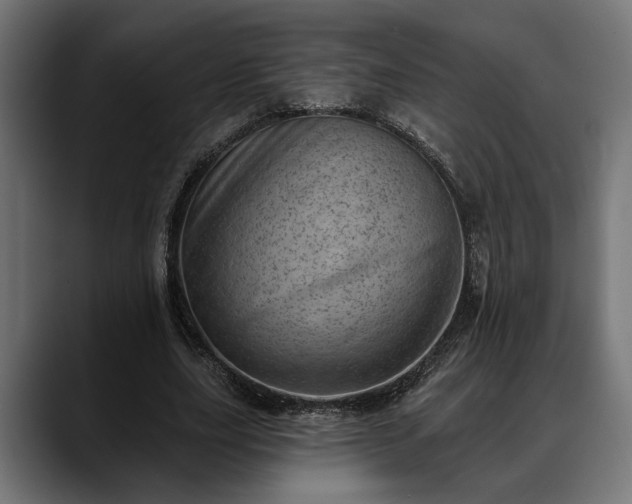 X0000088450631200705291513