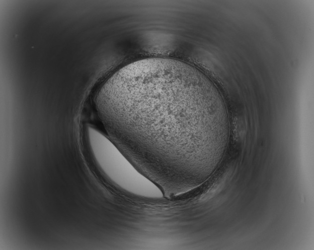 X0000088450634200705291513