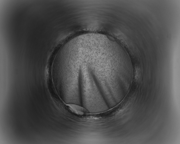 X0000088450636200705291513