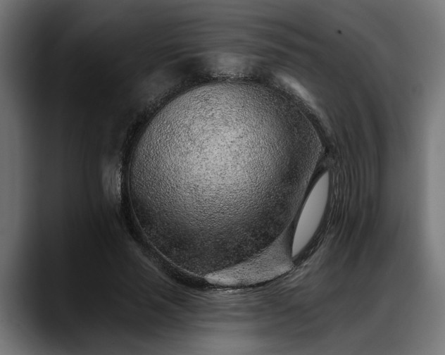 X0000088450637200705291513